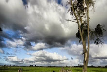 国内篮球顶尖职业联赛场面精彩纷呈