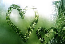 国内篮球顶尖职业联赛场面精彩纷呈