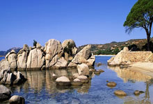 热火队意外失利，球员们迅速调整心态